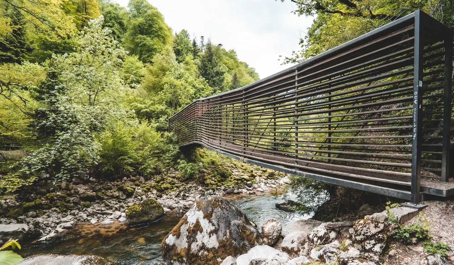 Passerelle métallique au-dessus de la rivière dans les Gorges de l'Areuse